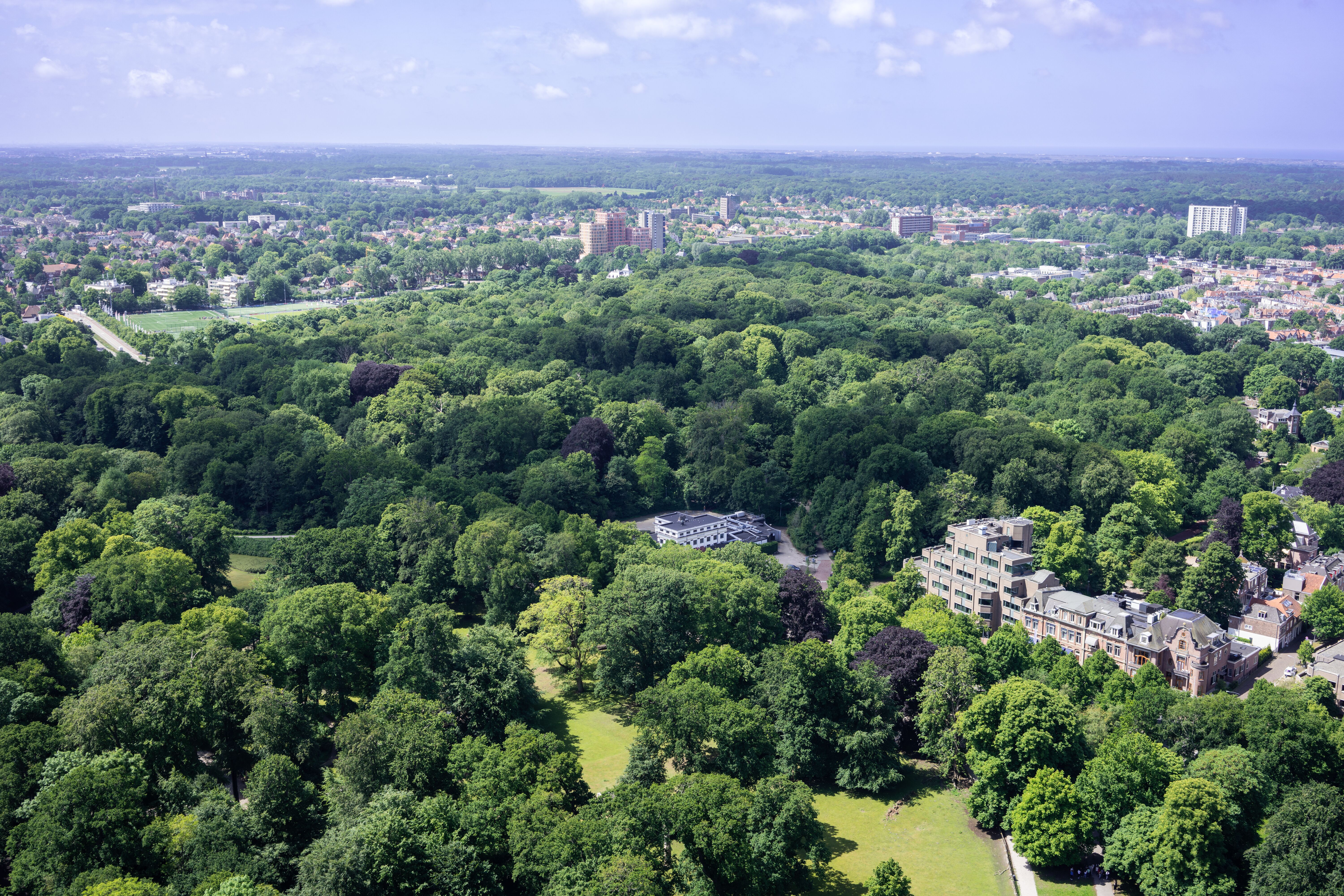 Koel blijven in een warm Haarlem